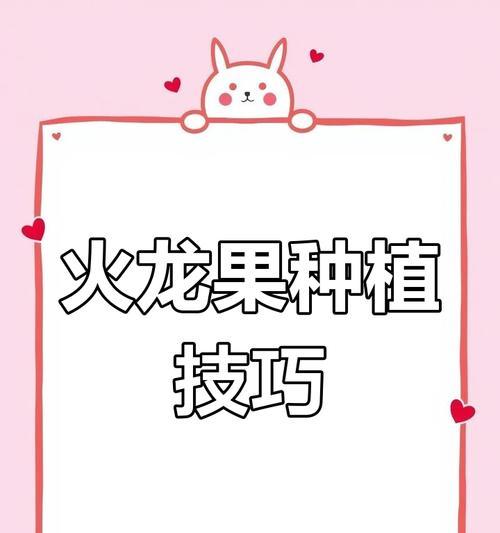 火龙果种子可以种吗？（火龙果的种子种植与护理）