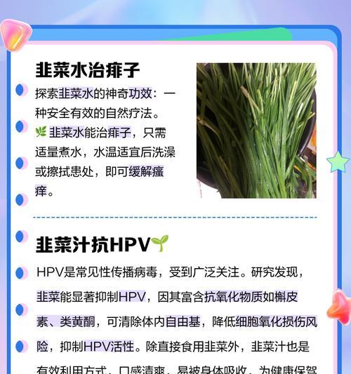 韭菜如何浇水（掌握正确方法，让韭菜茁壮成长）