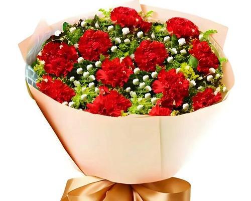 康乃馨的特点与魅力（探寻康乃馨的花形、花色和花语）