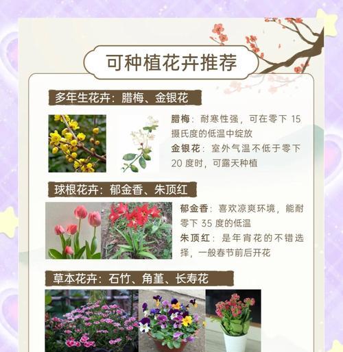 室内绿萝如何科学浇水（浇水频次、浇水量、浇水方法详解）