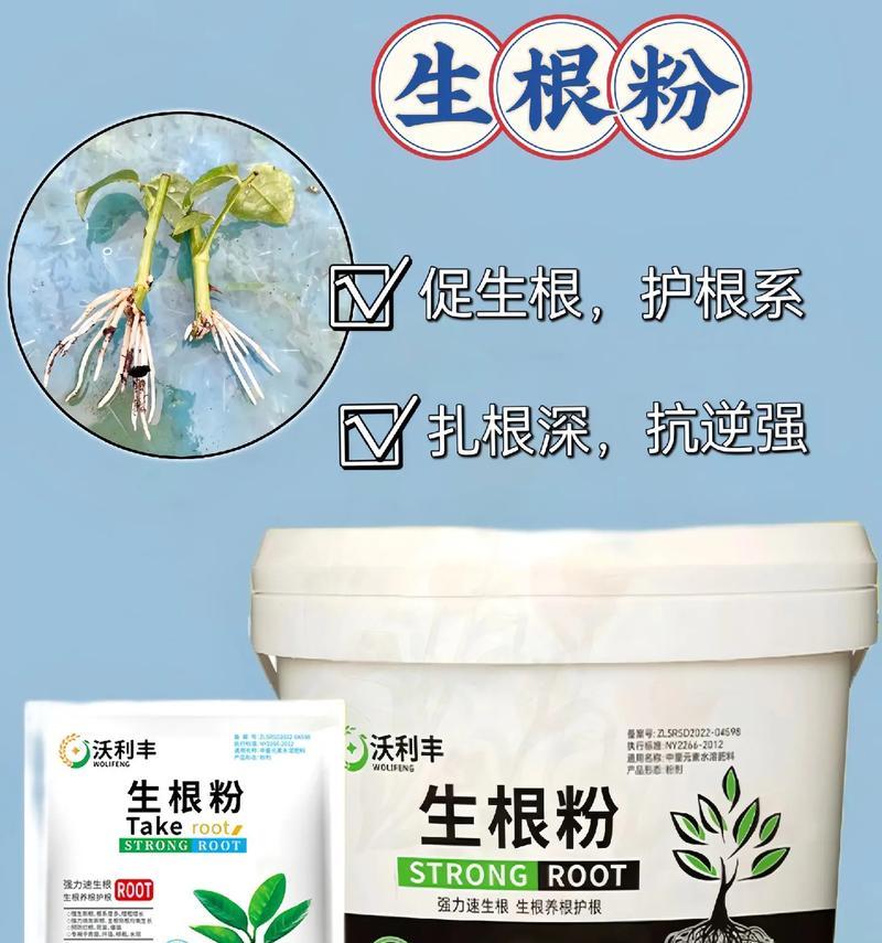 以叶插蟹爪生根粉的使用方法及技巧（揭秘叶插蟹爪生根粉的神奇力量，让你轻松养活可爱的蟹爪兰）