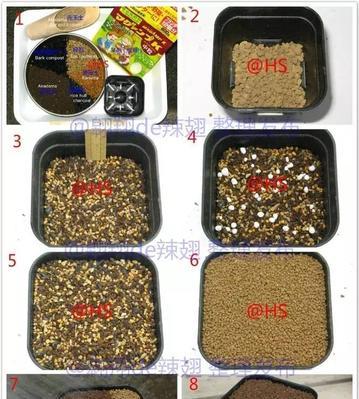 柠檬香蜂草的土壤配搭及养护要点（以柠檬香蜂草为主的土壤配搭及有效养护）