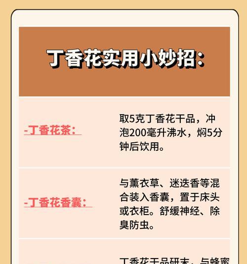 干花的保养技巧及保存时间（如何让干花保持长久的美丽）
