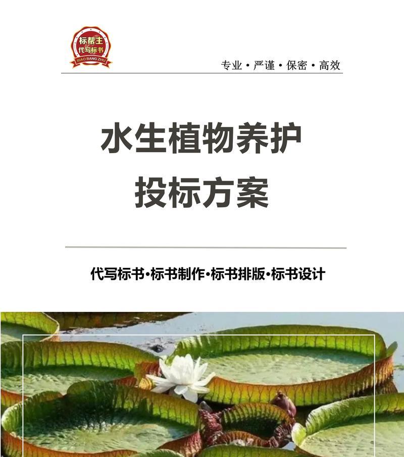 以水栽怎么养护？（用水正确养护植物，助其健康成长）
