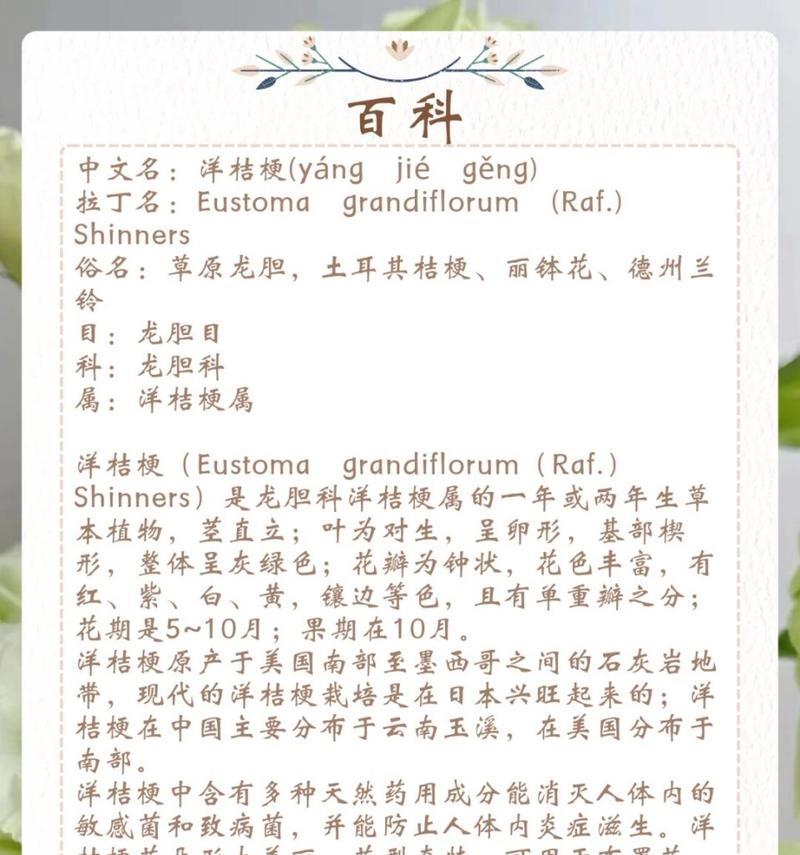 深入了解龙胆和洋桔梗的花卉奥秘（探索花园中的美丽花卉世界，了解龙胆和洋桔梗的特点和用途）