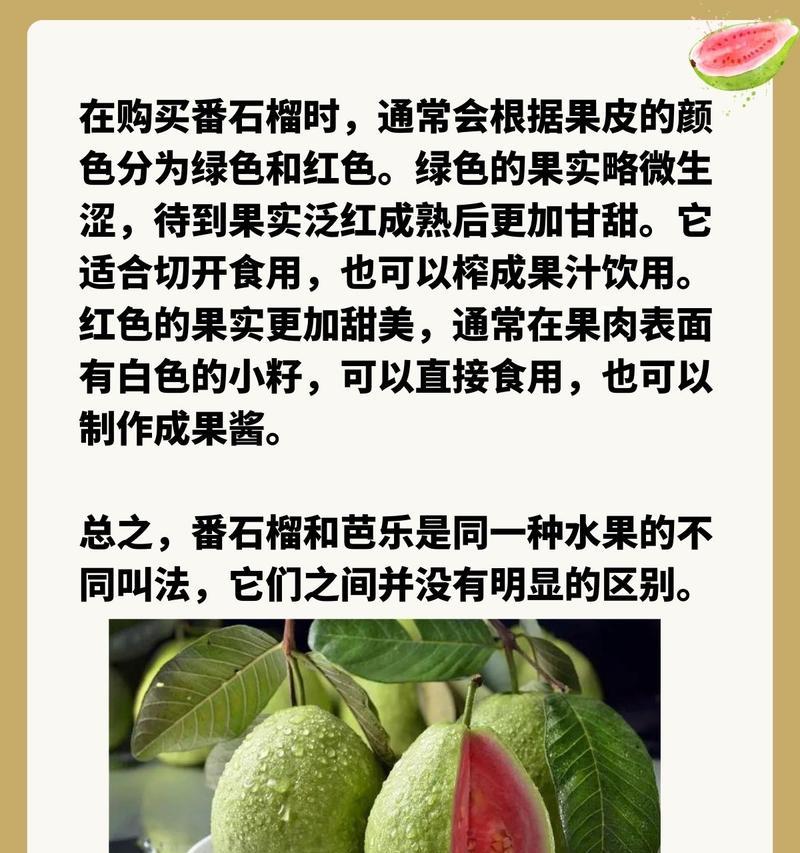 石榴果期的养护与管理方法（果期长达几个月，掌握这些技巧让你收获满满）