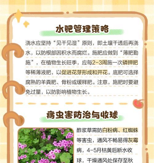 酢浆草断掉了该如何处理？（如何修复断掉的酢浆草并促进其再生？）