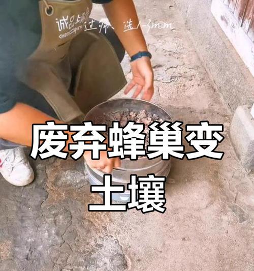 多肉植物与煤渣的完美结合（利用煤渣培育多肉植物，为绿化事业贡献一份力量）