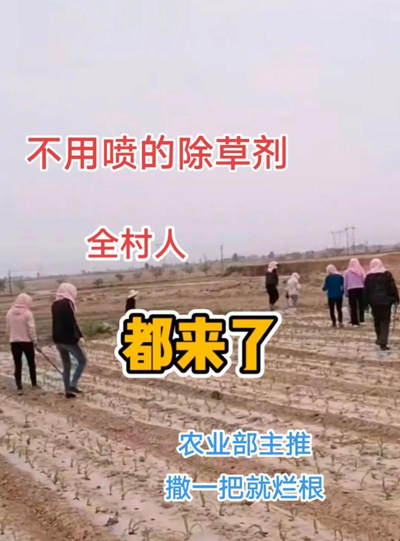 以怎样种植地不容为主题的农业实践（探索生态友好的种植技术，实现可持续发展）