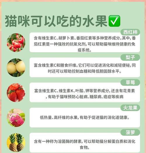 猫能不能吃蓝莓？（了解猫咪的饮食需求和营养健康）