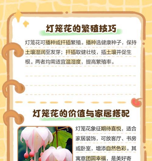 灯笼花的扦插技巧与注意事项（掌握正确时间和方法，让灯笼花轻松扦插生根）