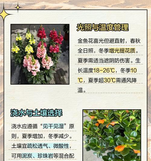 冬季金鱼花的养护技巧（寒冷季节里的金鱼花保健指南）