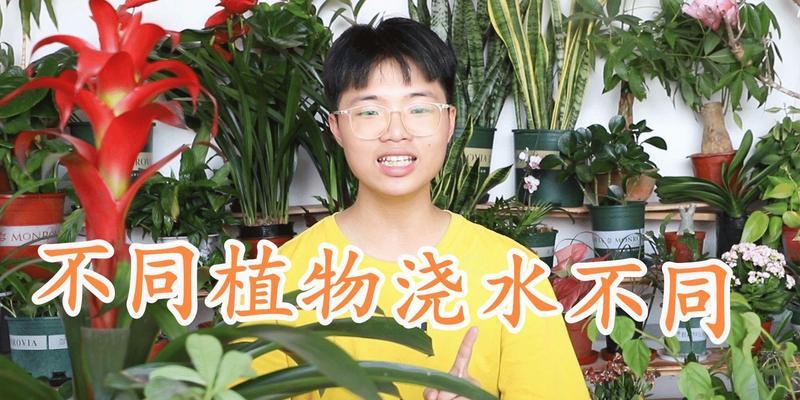 夏日植物浇水的正确方法（掌握关键要点，助力植物茁壮成长）