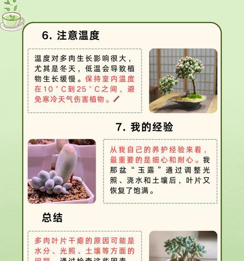 盆栽土壤盐碱化的应对措施（保护植物健康生长，有效防治盆栽土壤盐碱化）