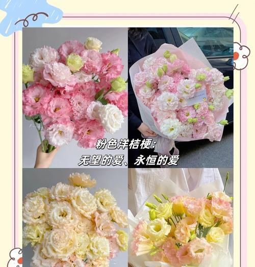 延长洋桔梗花期的方法（探究洋桔梗的花期延长技巧）
