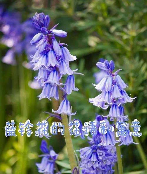 忘记你