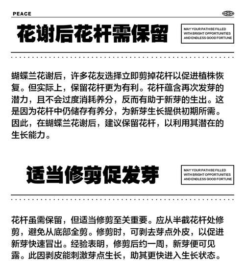 蝴蝶兰花谢后的剪裁技巧（优雅延续，打理凋谢的蝴蝶兰）