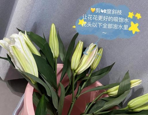 辨别真假百合香水的方法与技巧（从气味、包装、成分等多个方面解读百合香水）