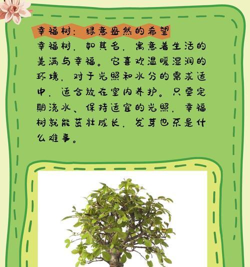 冬天平安树的养护技巧（让你的平安树在寒冷的冬天绽放生机）