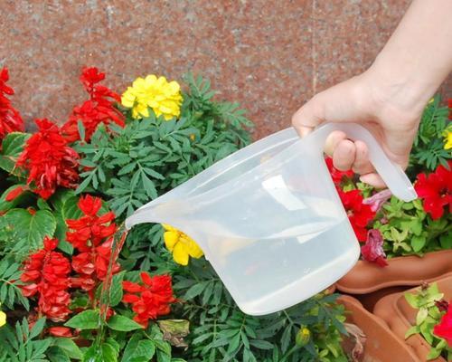 多肉植物的正确浇水方法（怎样合理给多肉植物浇水，让它们茁壮成长）