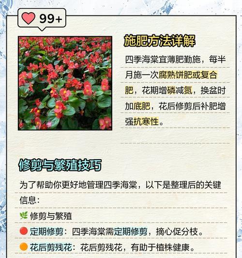 夏天长得太高的四季海棠应如何管理？（快速控制生长，保持植株健康的关键方法）