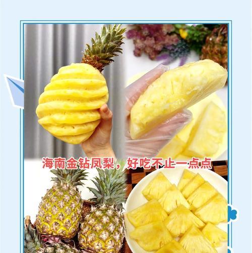 金边凤梨种植指南（金边凤梨的栽培技巧与注意事项）