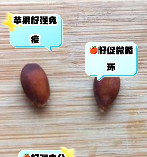 苹果种子的奇妙之旅（探索苹果种子的形态与生命力）