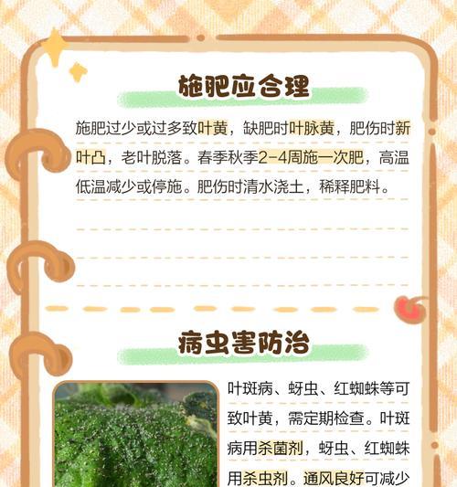 叶片发黄干枯怎么办？（植物叶片变黄的原因及治理方法）