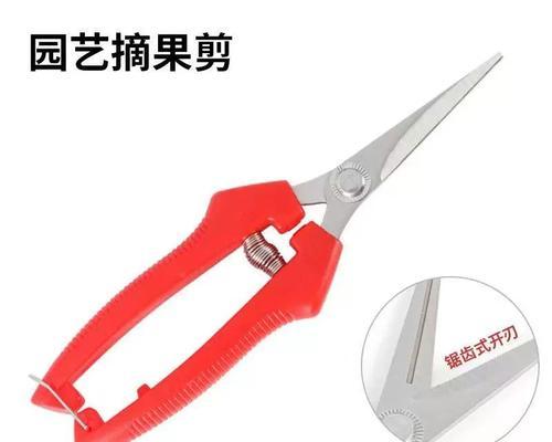二花枝怎么剪（探索剪枝技巧，打造精致花束）