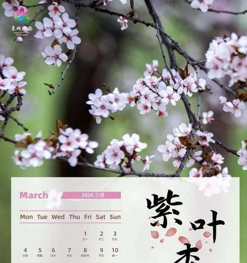 桃花如约开，盛放春天（春日桃花，美丽绽放）