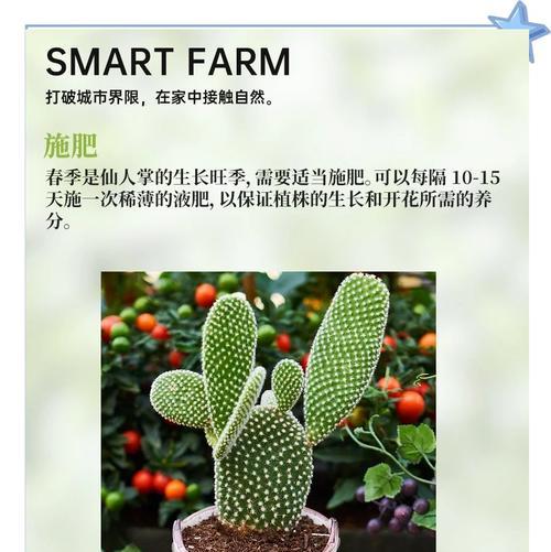 仙人棒的神奇生长之谜（探索仙人棒上长出的小物体及应对策略）