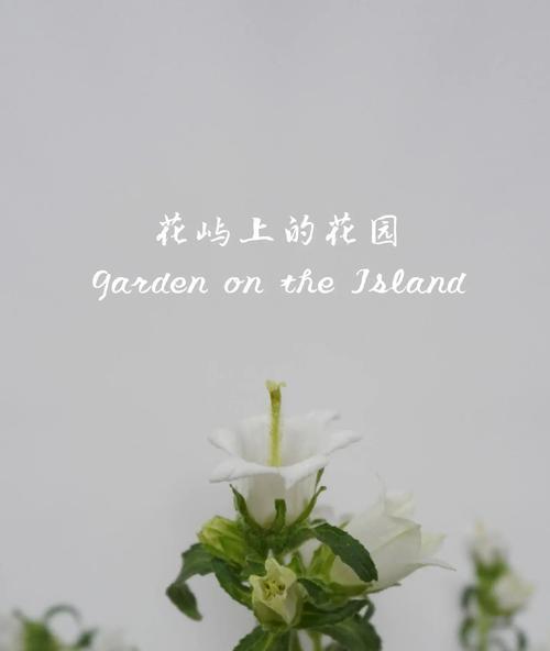 风铃草的花语（探寻风铃草的神秘花语，解读花开花落背后的含义）
