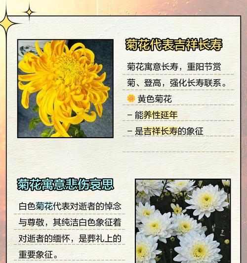 家庭装饰植物的选择和养护（为什么家里不适合养菊花）