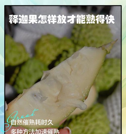 如何判断释迦是否熟了（全面了解释迦的成熟程度及判断方法）