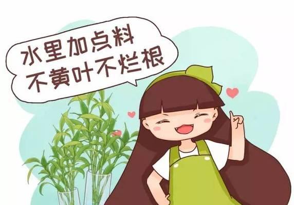 以水培为基础的多菌灵使用方法（水培养殖中的多菌灵应用关键）