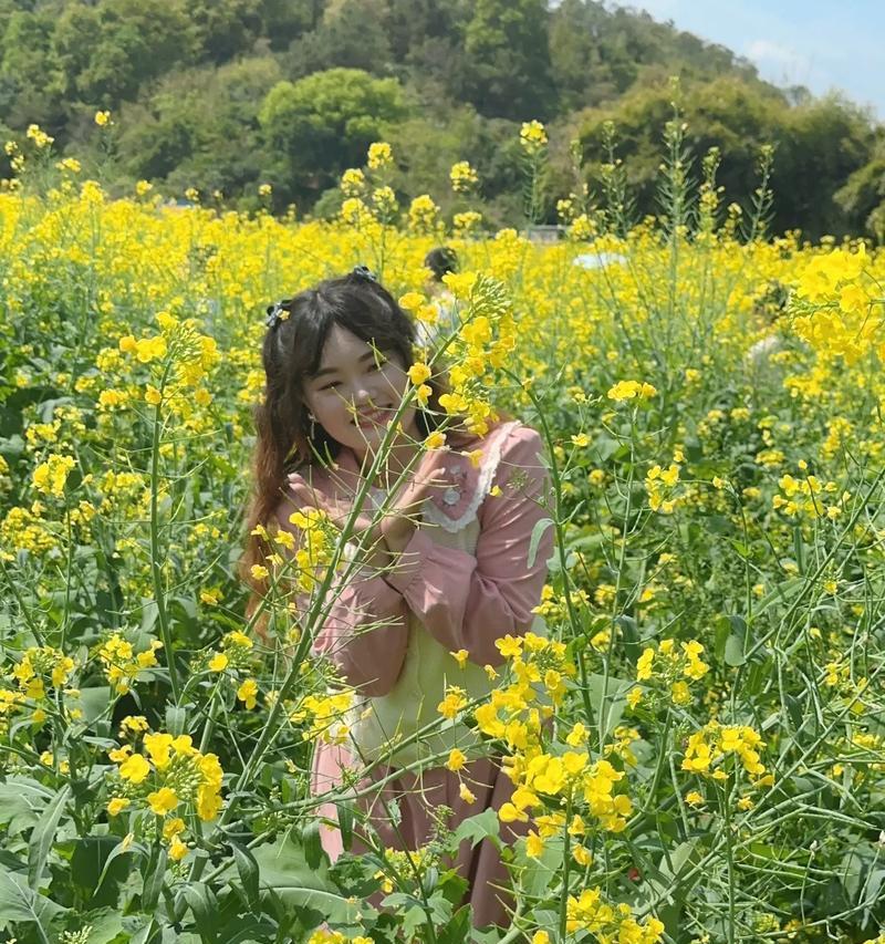 用花语加油，让你永远不停歇（以坚毅与希望为主题的花语，助你战胜生活中的每一个难关）