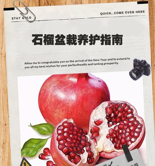 石榴小盆栽的修剪技巧（培养健康石榴小盆栽，打造美丽庭院）