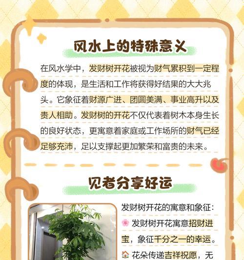发财树开花的预兆与寓意（繁花似锦的好兆头，财运亨通的象征）