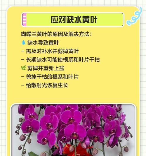 冬季室内植物为何会叶子变黄？（探索冬季室内植物叶子变黄的原因和防治方法）