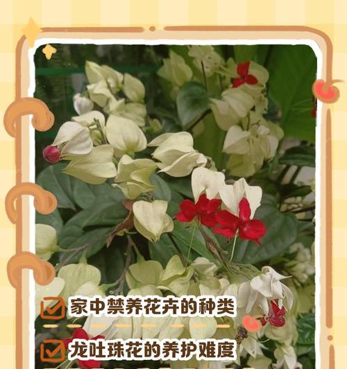 龙吐珠开花时间和频率解析（探究龙吐珠开花的时间和次数，让你更好地了解这种神奇植物。）