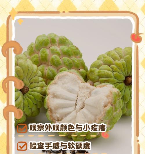 释迦果成熟上市的季节及关键期（探秘释迦果的生长环境和采摘技巧，从而保证果实的口感和营养）