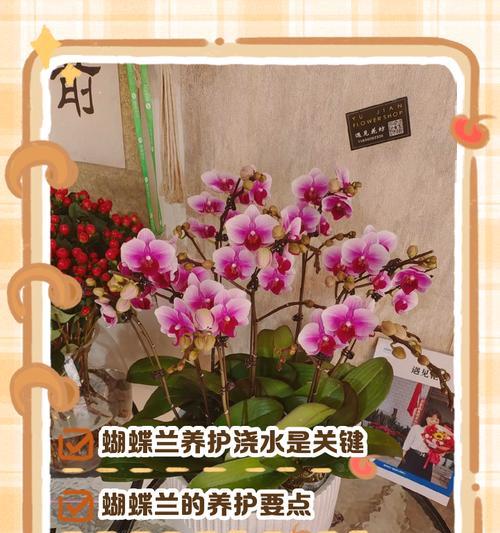 如何正确浇水给花？（科学浇水技巧，让花儿健康成长）