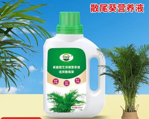 散尾竹叶子发黄，这些方法可救命！（散尾竹的养护技巧及叶子发黄的原因分析）