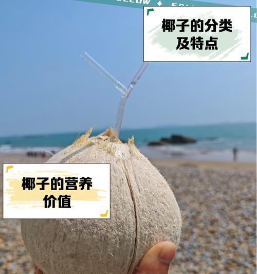 椰子的繁殖之道（探索椰子如何自我繁衍生息的奥秘）