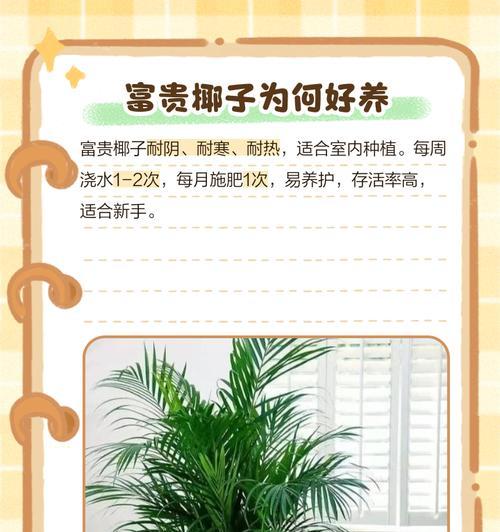 学会如何养殖以袖珍椰子花，让家中更加美丽（简单实用的养殖技巧，让您成为植物养殖专家）