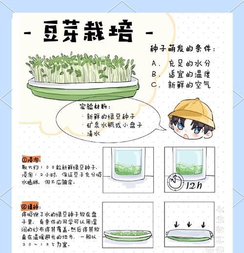 以蓝豆繁殖方法与技巧（轻松掌握蓝豆繁殖技巧，打造绿色生态环境）